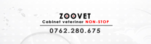 zoovet-mare-3